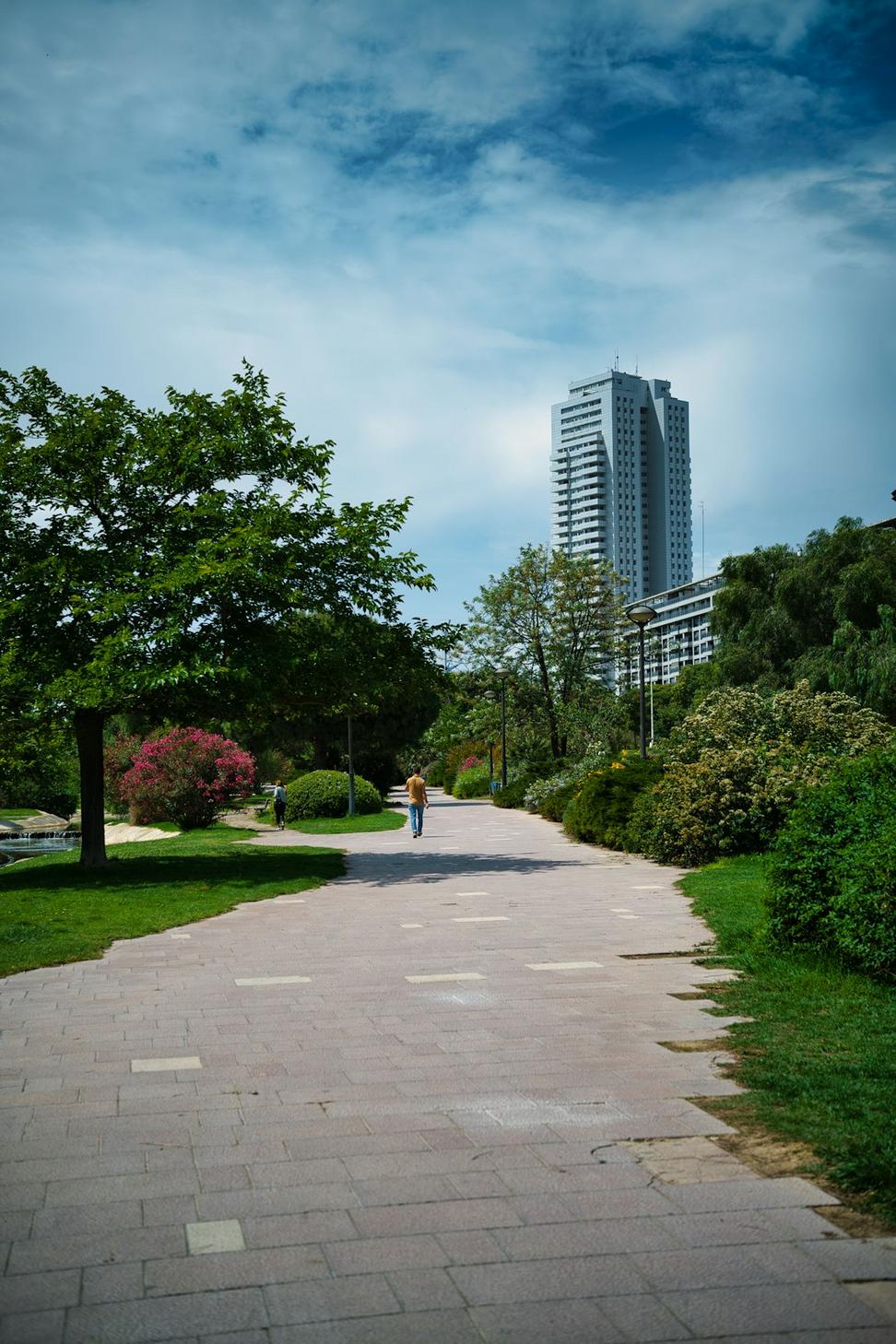 Junction Triangle Revitalization