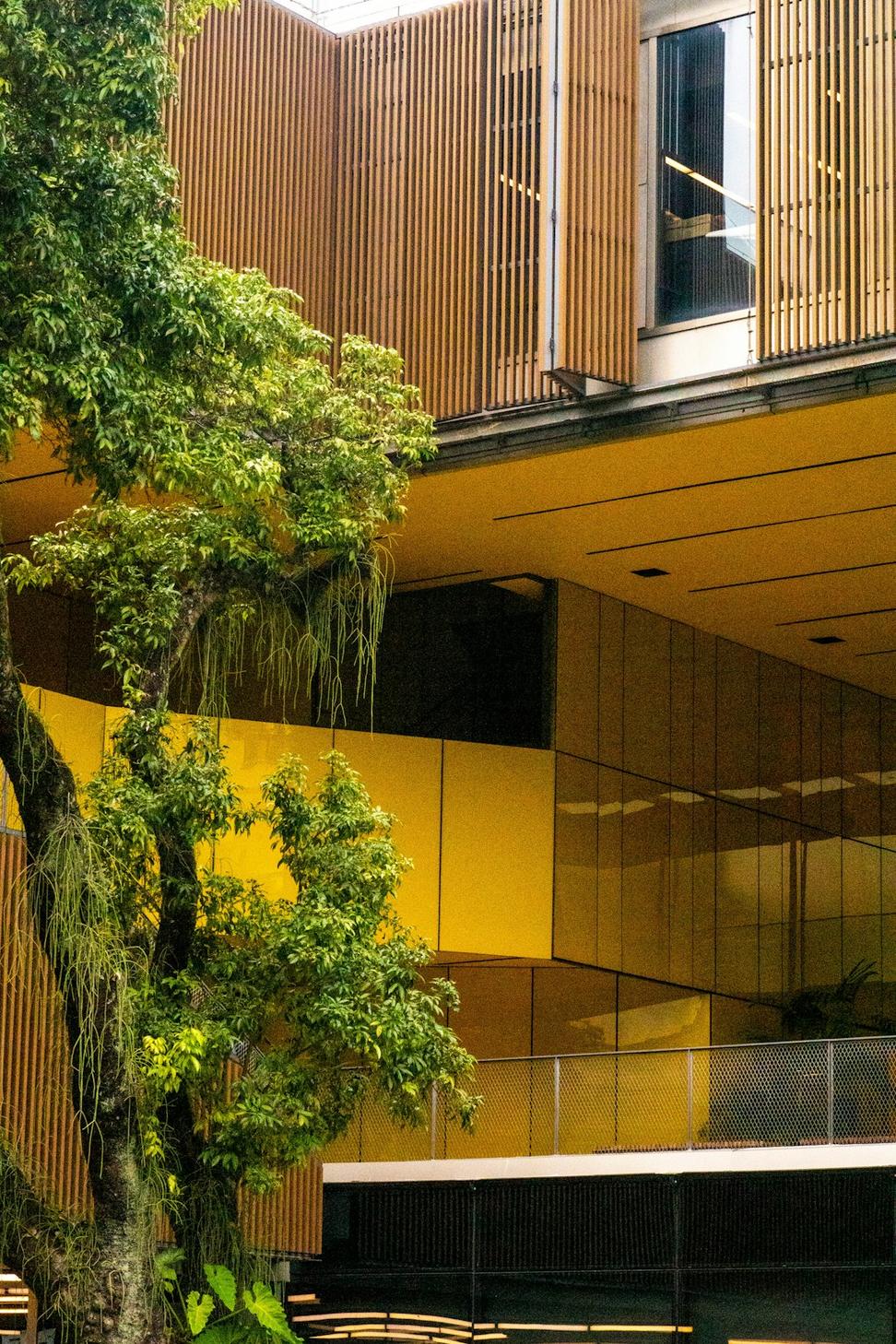 Forest Edge Home