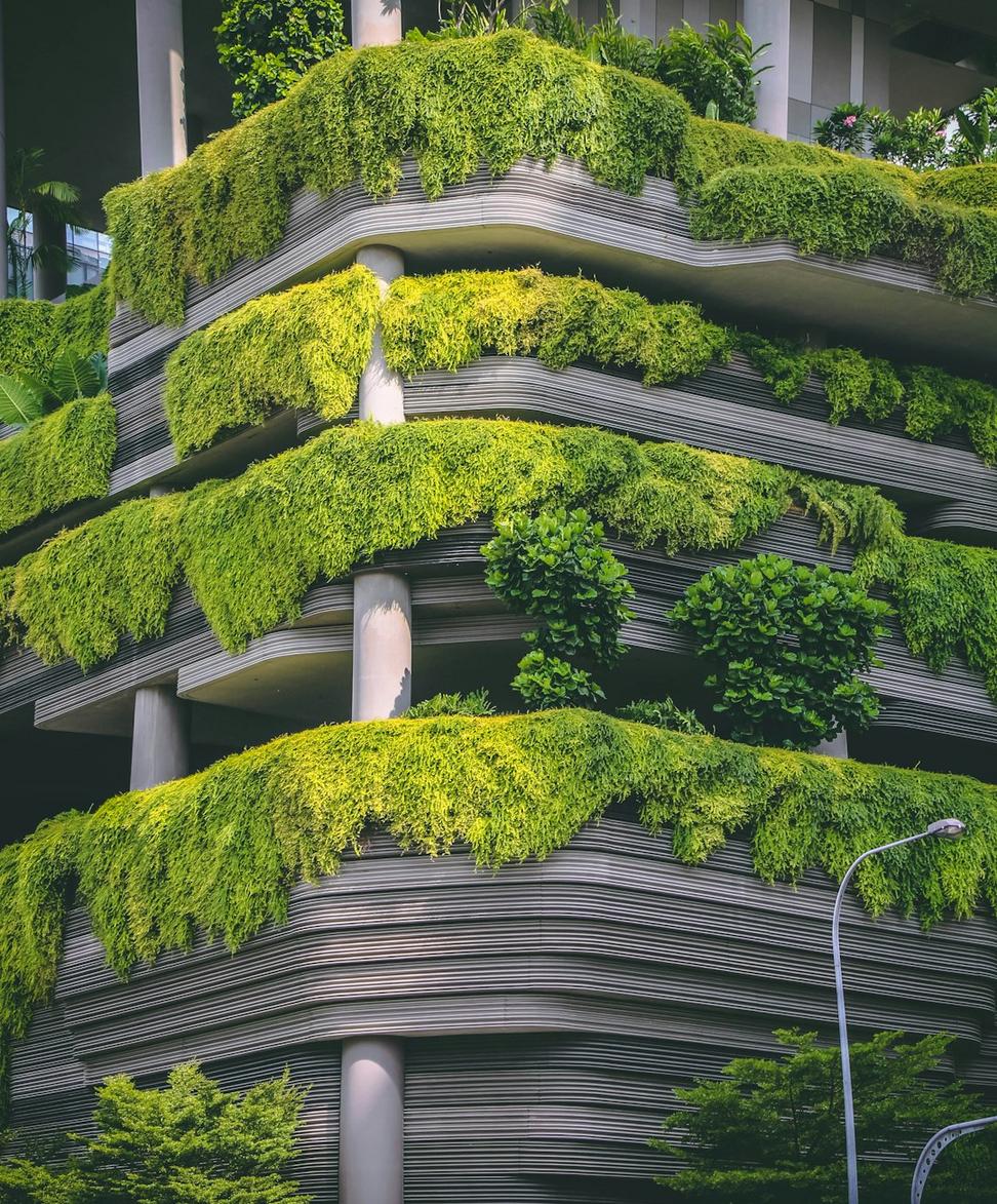 Future of Sustainability