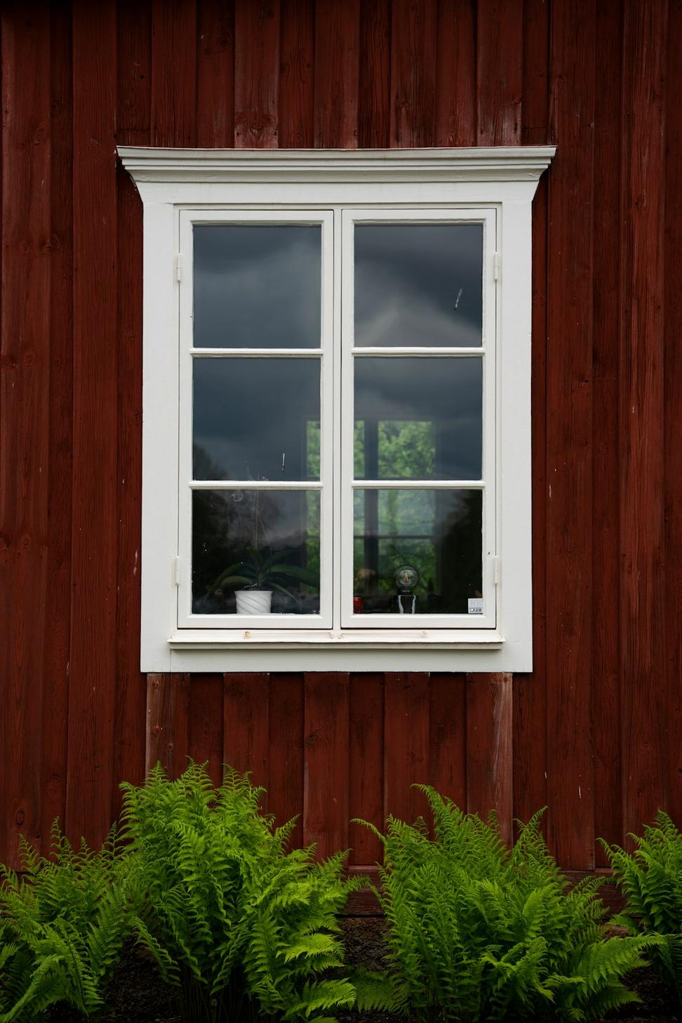 Interior with forest view